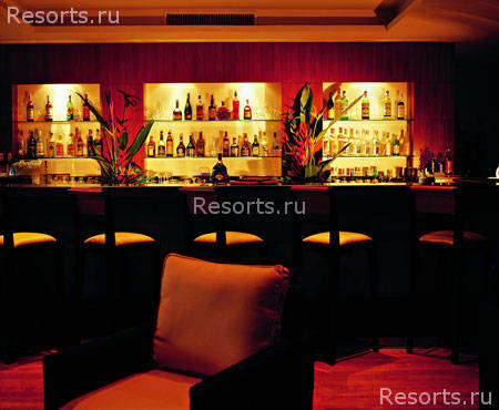 Treetops Arasia Resort 22